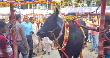 প্রাণী প্রদর্শনী কিশোরগঞ্জ