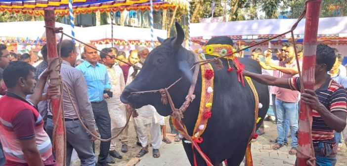 প্রাণী প্রদর্শনী কিশোরগঞ্জ