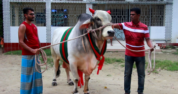 পাকুন্দিয়া