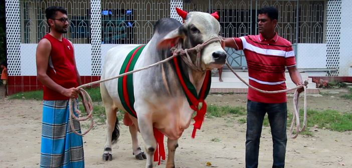 পাকুন্দিয়া