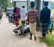 তাড়াইল