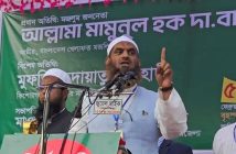 মামুনুল হক