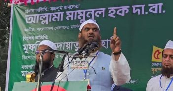 মামুনুল হক