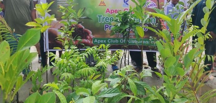 কিশোরগঞ্জে এপেক্স ক্লাবের বৃক্ষরোপন কর্মসূচি